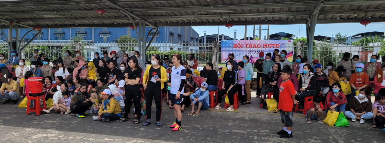 lĩnh vực hoạt động
